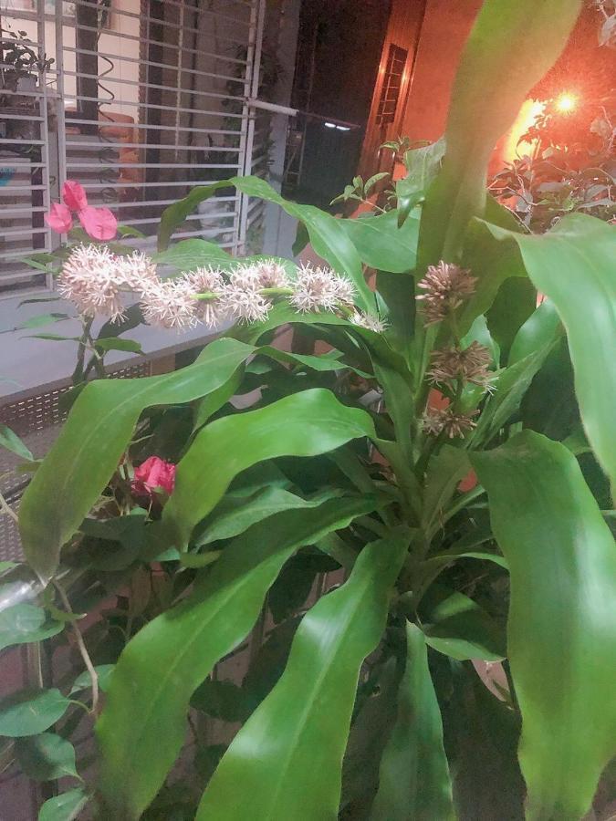 Li Homestay 134 Tran Binh, My Dinh, Nam Tu Liem, Ha Noi Hanoi Bagian luar foto
